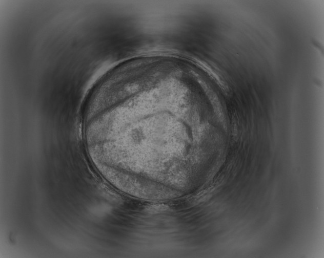 X0000092301462200710051211