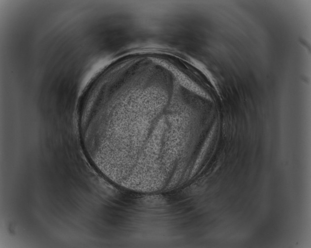 X0000092301464200710051211