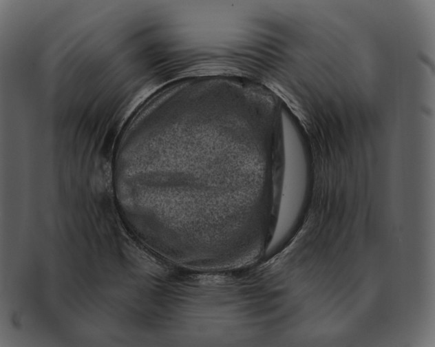 X0000092301465200710051211