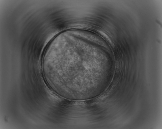 X0000092301466200710051211