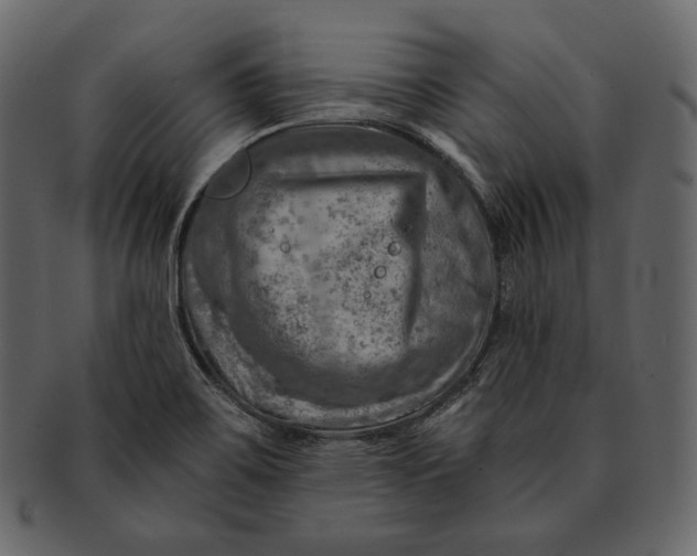 X0000092301467200710051211