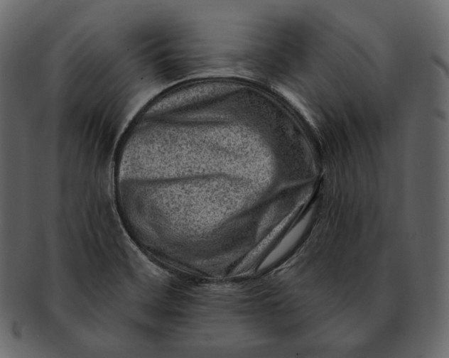 X0000092301468200710051211