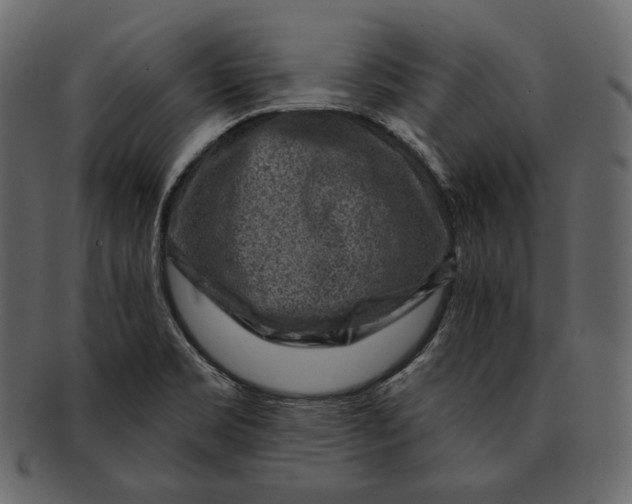 X0000092301469200710051211