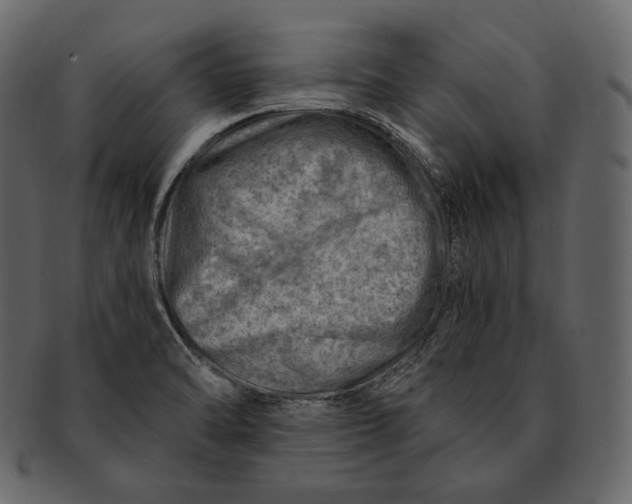 X0000092301470200710051211