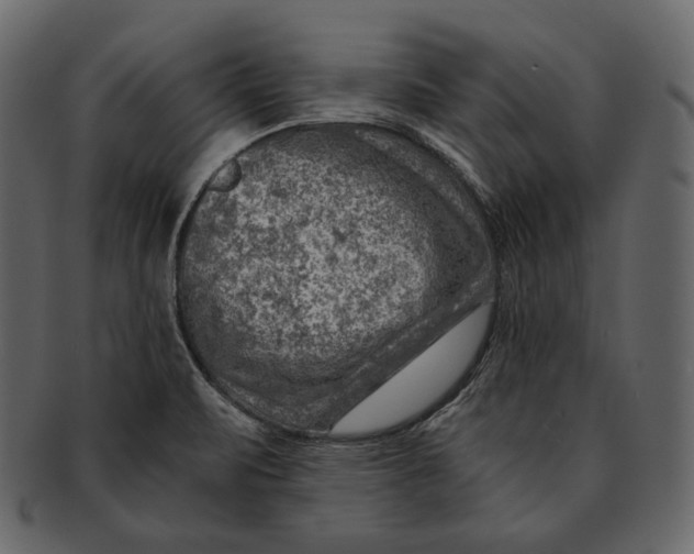 X0000092301471200710051211