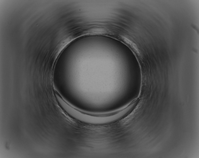 X0000092301473200710051211