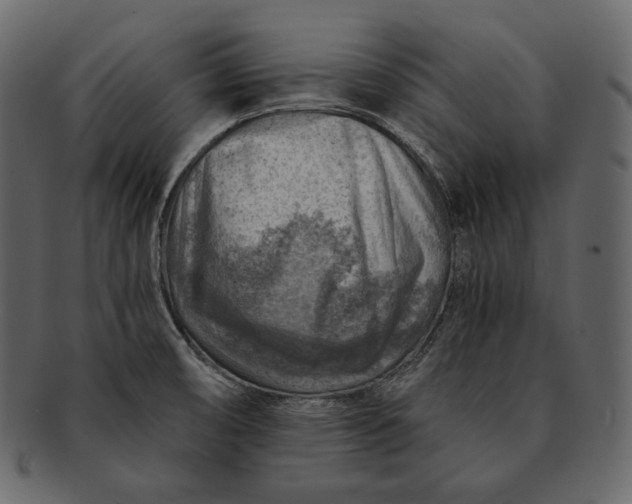 X0000092301474200710051211