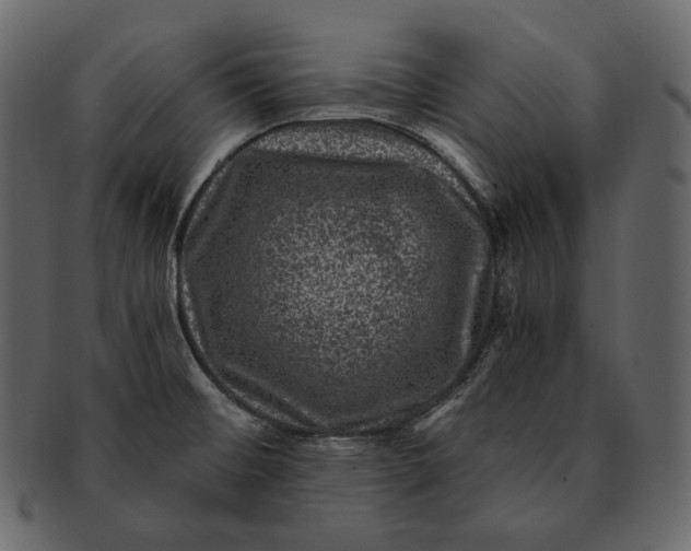 X0000092301476200710051211