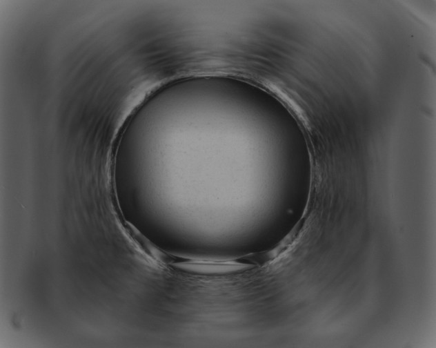 X0000092301477200710051211