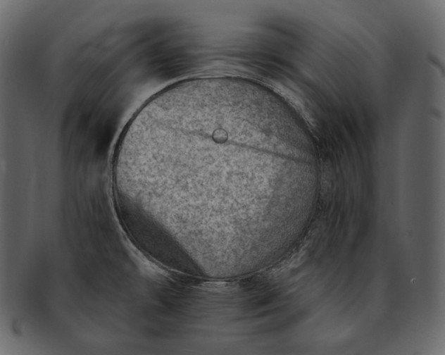 X0000092301478200710051211