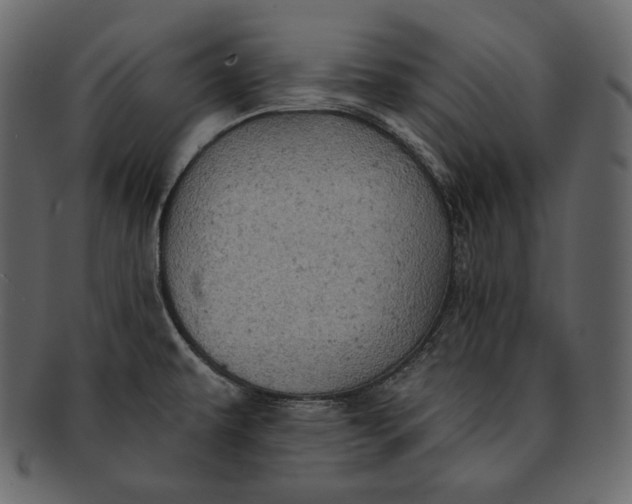 X0000092301479200710051211