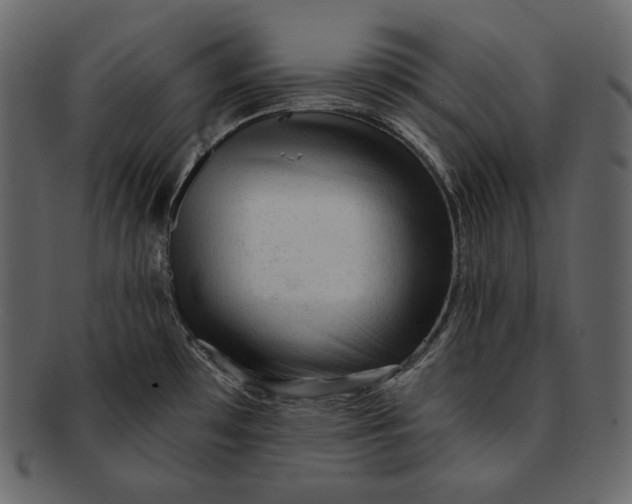 X0000092301481200710051211