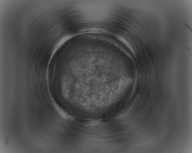 X0000092301482200710051211