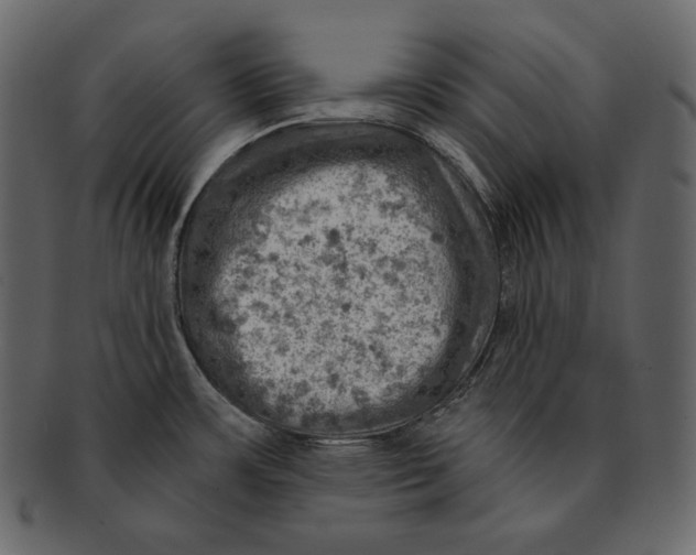 X0000092301483200710051211