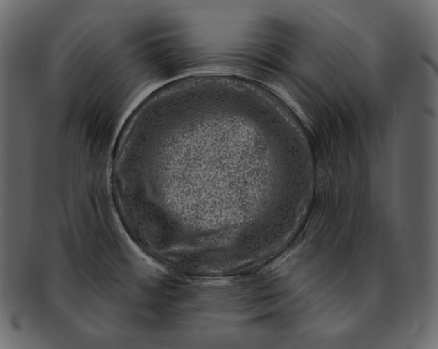 X0000092301484200710051211