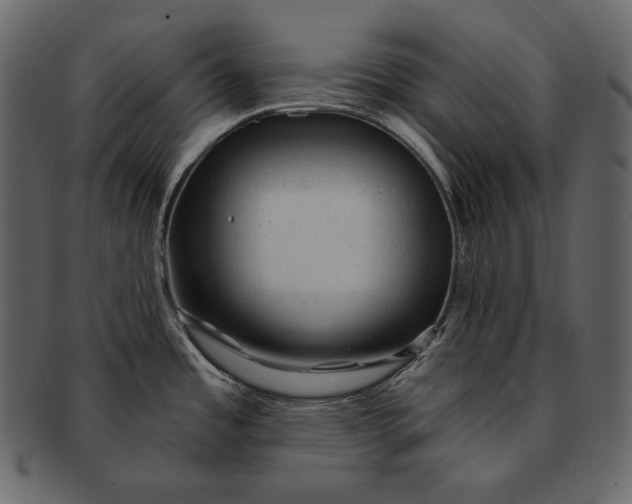 X0000092301485200710051211