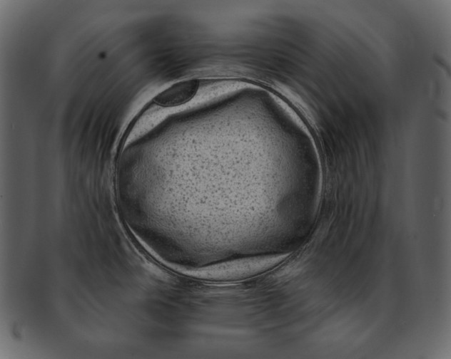 X0000092301486200710051211