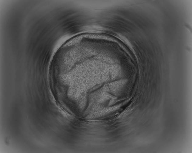 X0000092301488200710051211