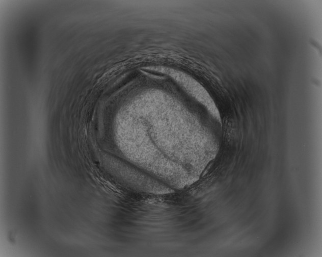 X0000092301489200710051210