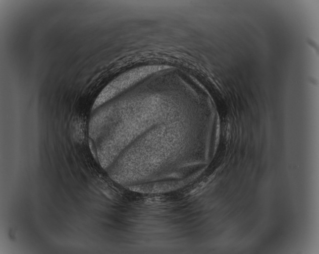 X0000092301490200710051210