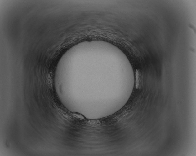 X0000092301491200710051210