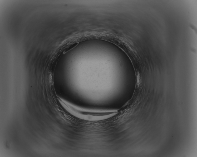 X0000092301492200710051210