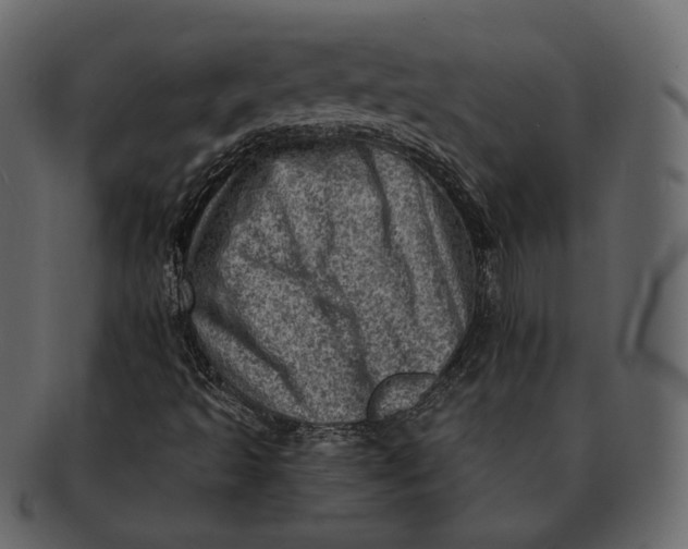 X0000092301493200710051210