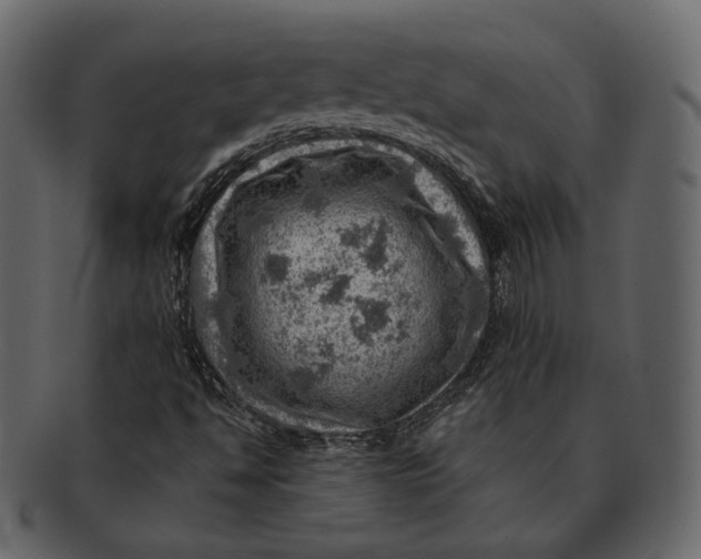 X0000092301494200710051210