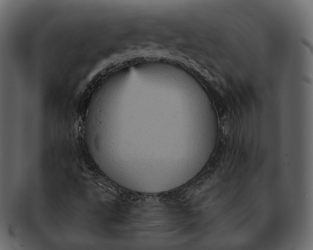 X0000092301495200710051210