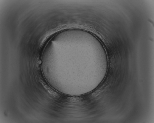 X0000092301499200710051210