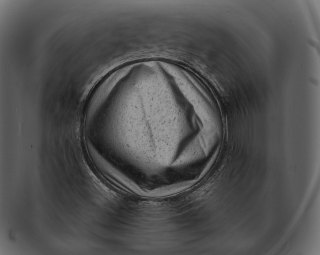 X0000092301500200710051210