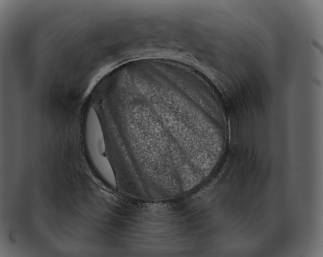 X0000092301501200710051210