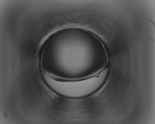 X0000092301502200710051210