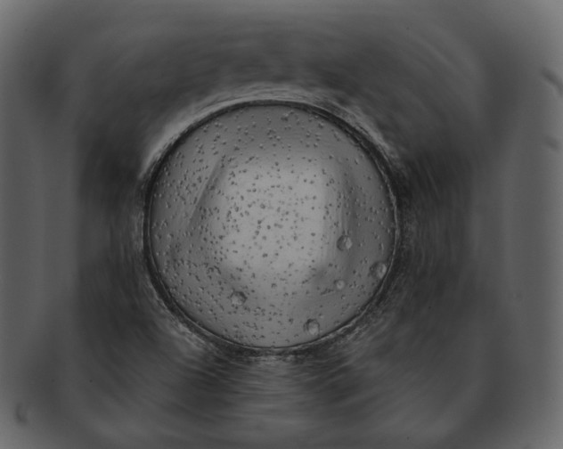 X0000092301504200710051210