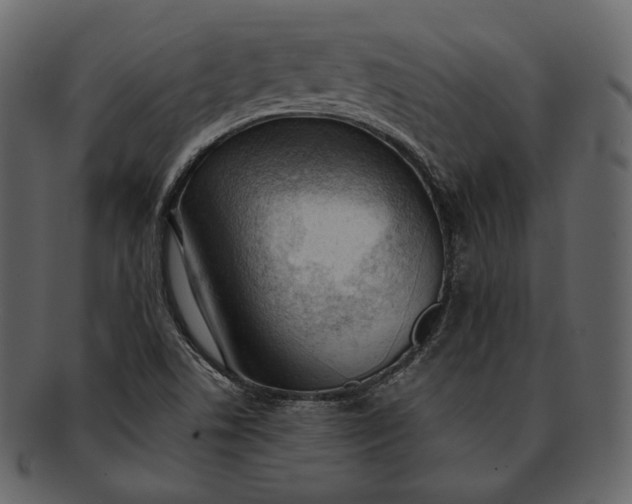 X0000092301506200710051210