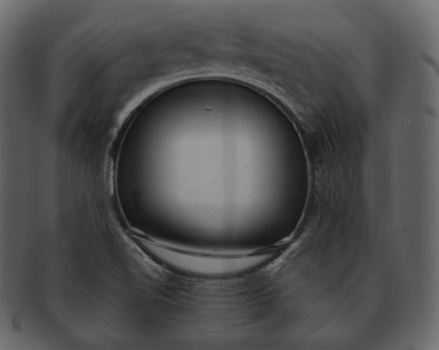 X0000092301510200710051210