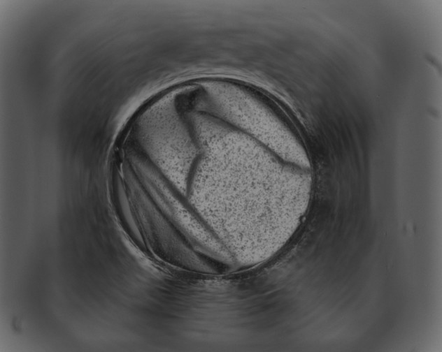 X0000092301511200710051210