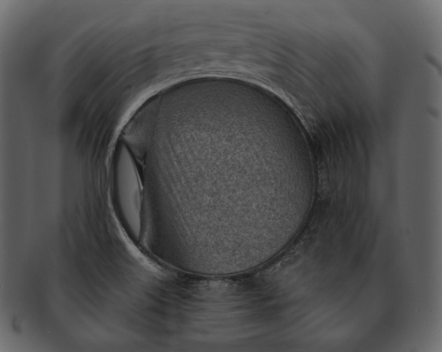 X0000092301515200710051210