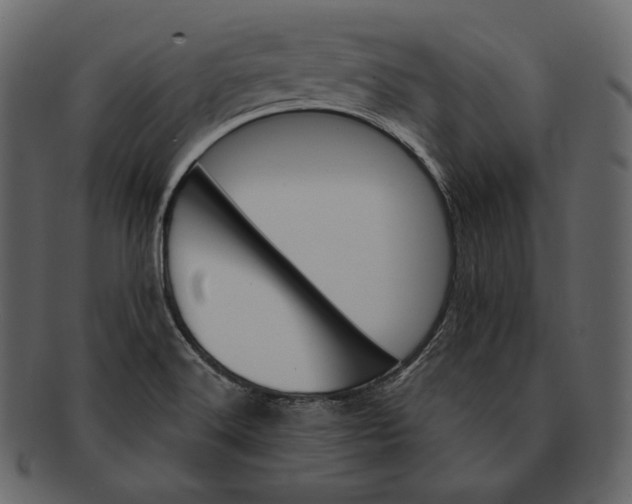 X0000092301516200710051210