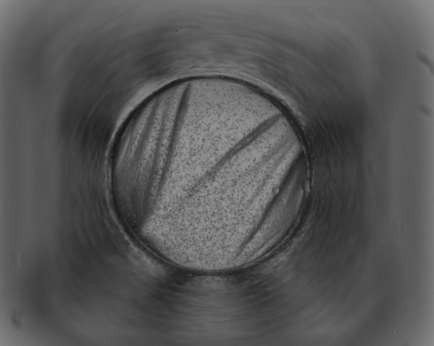 X0000092301517200710051210