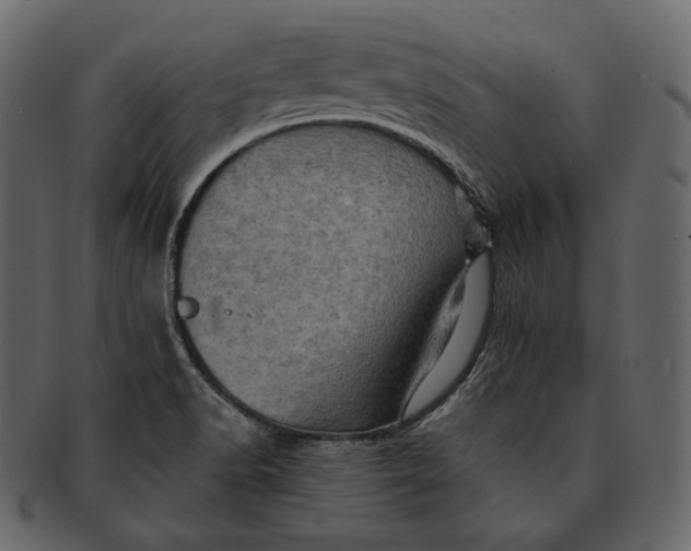 X0000092301518200710051210