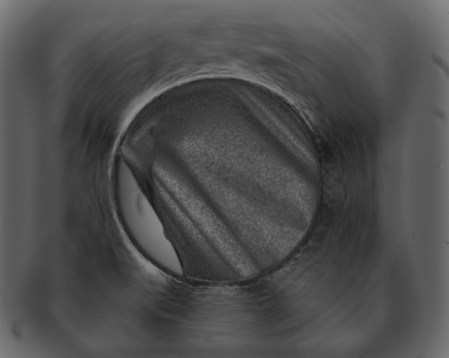 X0000092301519200710051210