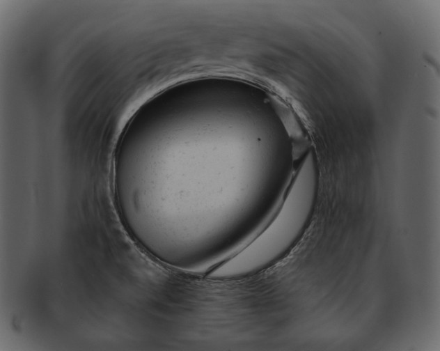 X0000092301520200710051210