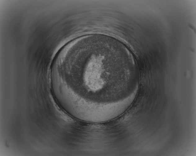 X0000092301522200710051211