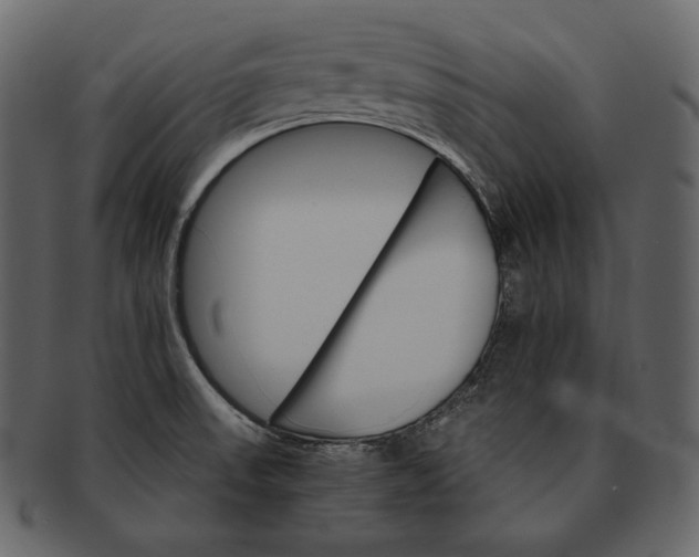 X0000092301523200710051211