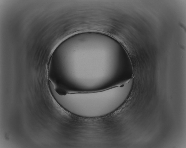 X0000092301524200710051211