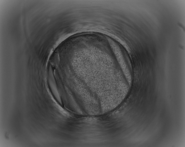 X0000092301525200710051211