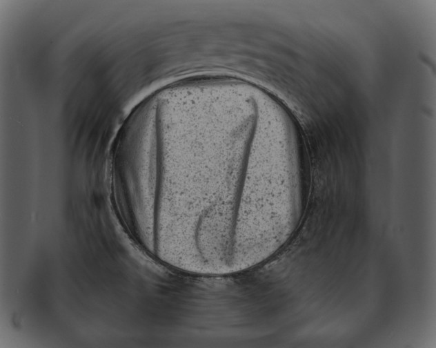 X0000092301526200710051211