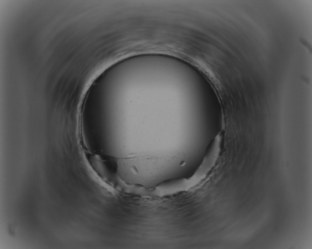 X0000092301528200710051211