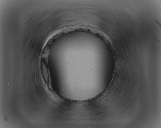 X0000092301530200710051211